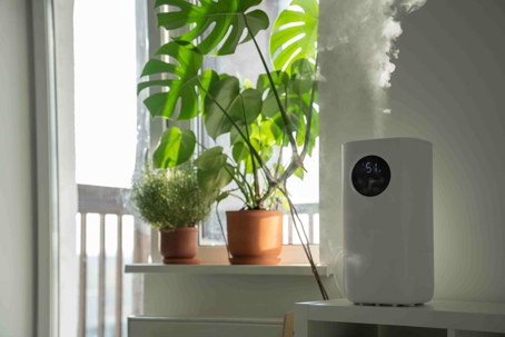 indoor air quality purifier